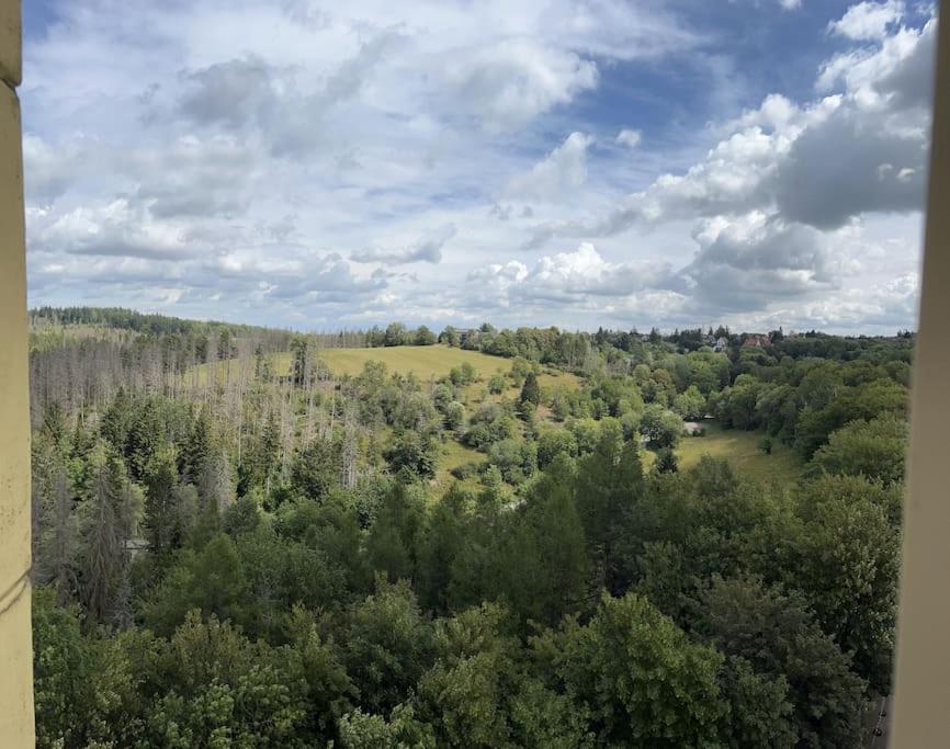 Apartment Penthouse - Panorama - Hohegeiss *